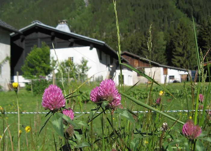 Vandrerhjem Nouveau Grassonnet